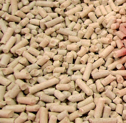 china cat litter factory.jpg